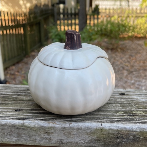 Pottery Barn Pumpkin by Barbara Eiger - Picture 1 of 7